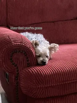 I miss her 🕊️❤️‍🩹