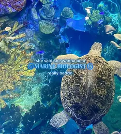 marine biology