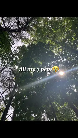 All of my 7 pets.