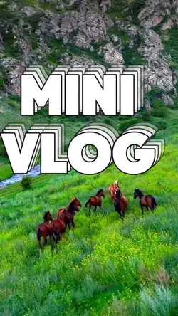 Minivlog 