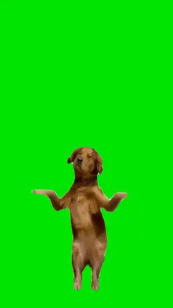 Dancing Dog