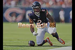 Bears Edit 🐻 