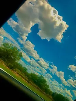 wonder wha nickname🤔