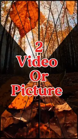 2 video or picture 