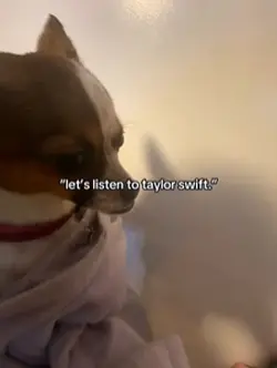 The singer/rapper🔛🔝