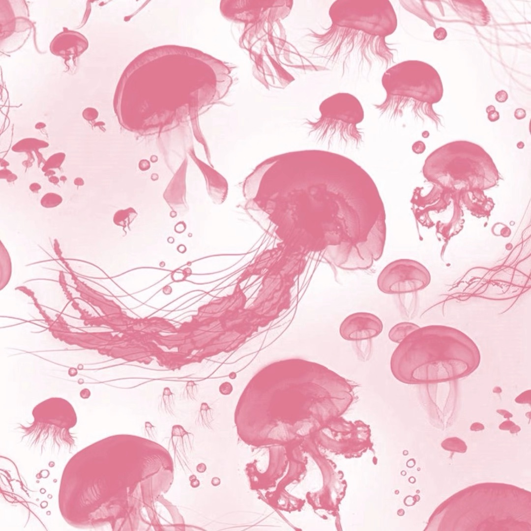 - moonlιt nιghts