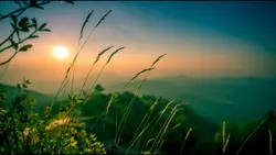 "Wander often, wonde