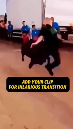 Fun Bull Transition