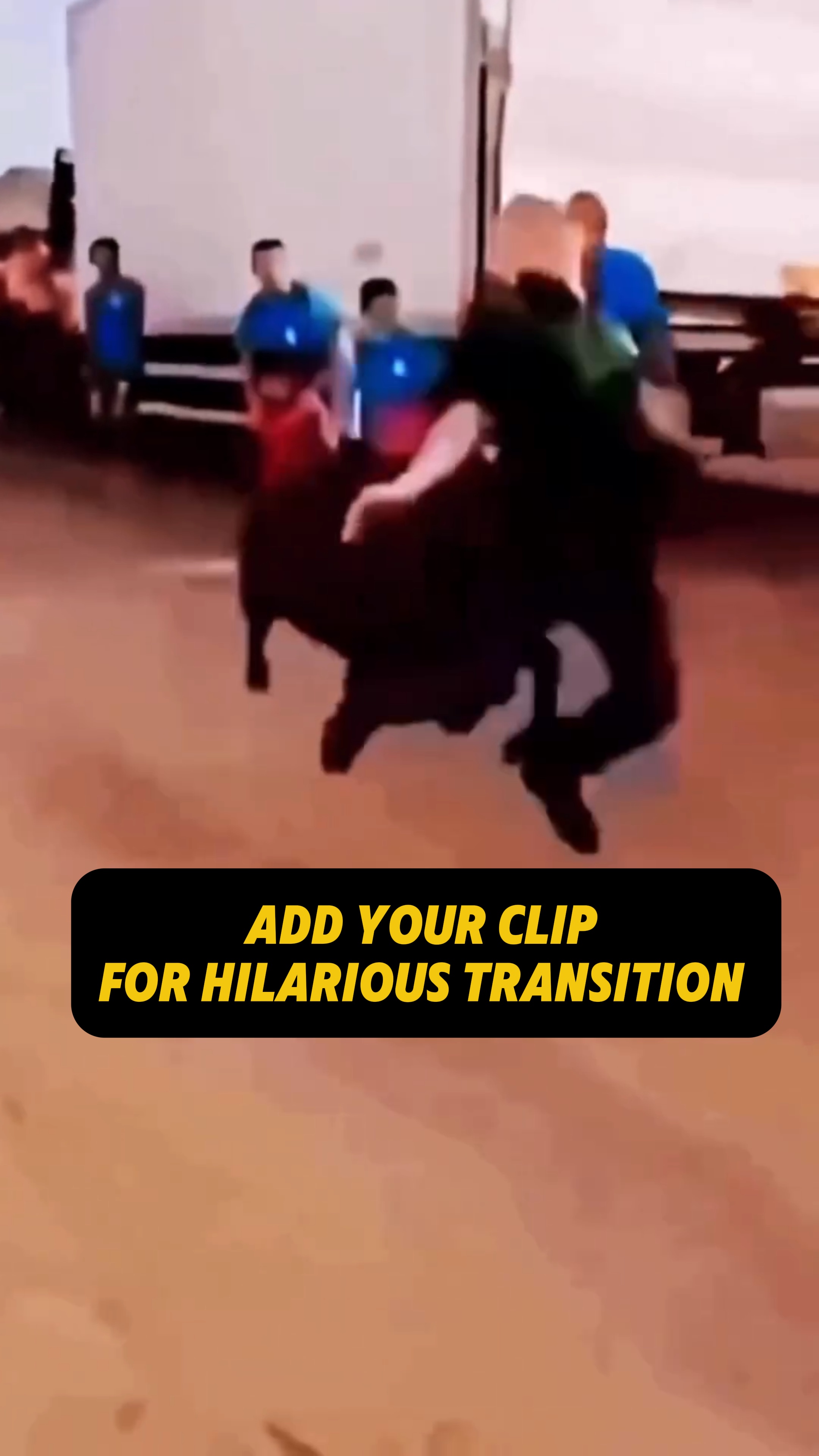 Divertida Transição De Touro