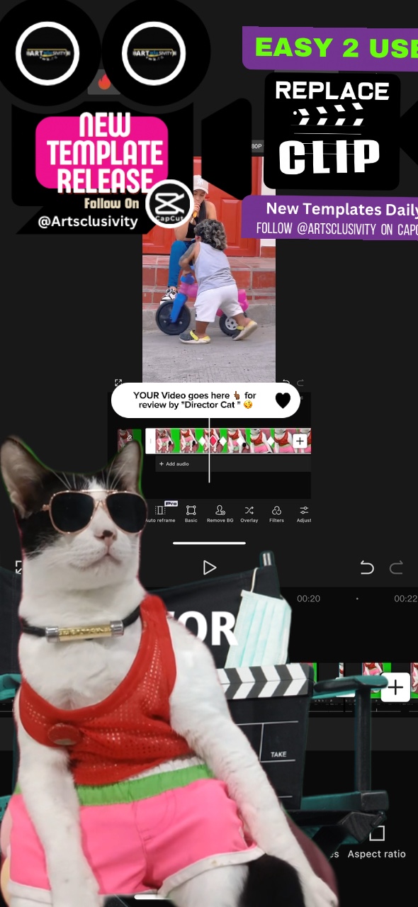 CattyDirector🥴🙀