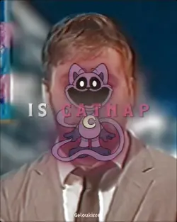 This at Catnap