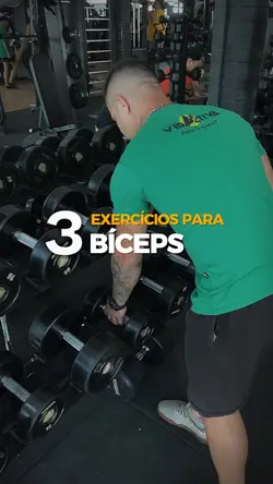EXERCICIOS