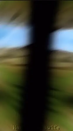 𝐌𝐚𝐦𝐚𝐦𝐨𝐨