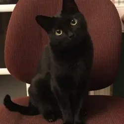 Yk? 👁️👄👁️