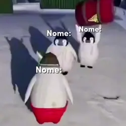 meme dos pinguins