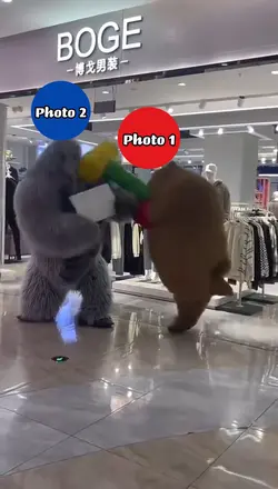 Bear smacking gorila