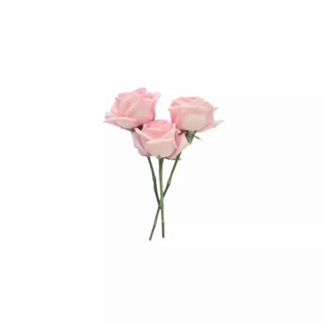 ⍴ mᥡ ᥕ᥆rᥣძ ! 