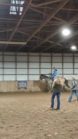 the trot before I