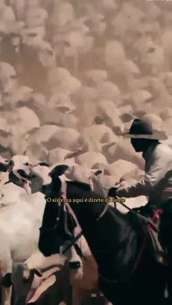Agro é top