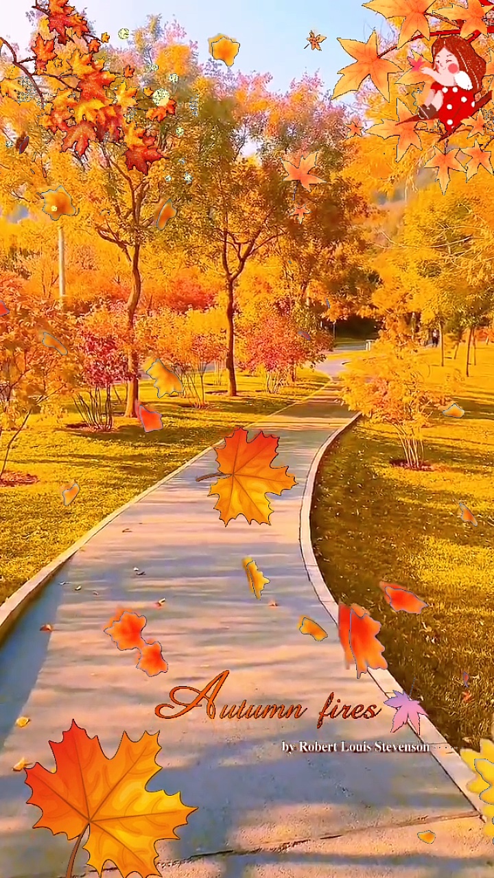 Bela vista