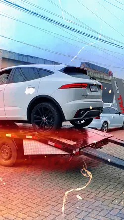 Jaguar e Pace 🎯