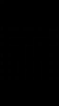 Swim-Chase Atlantic!