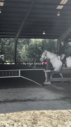 fly high bella🕊️😭