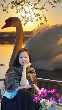 Elegant white swan