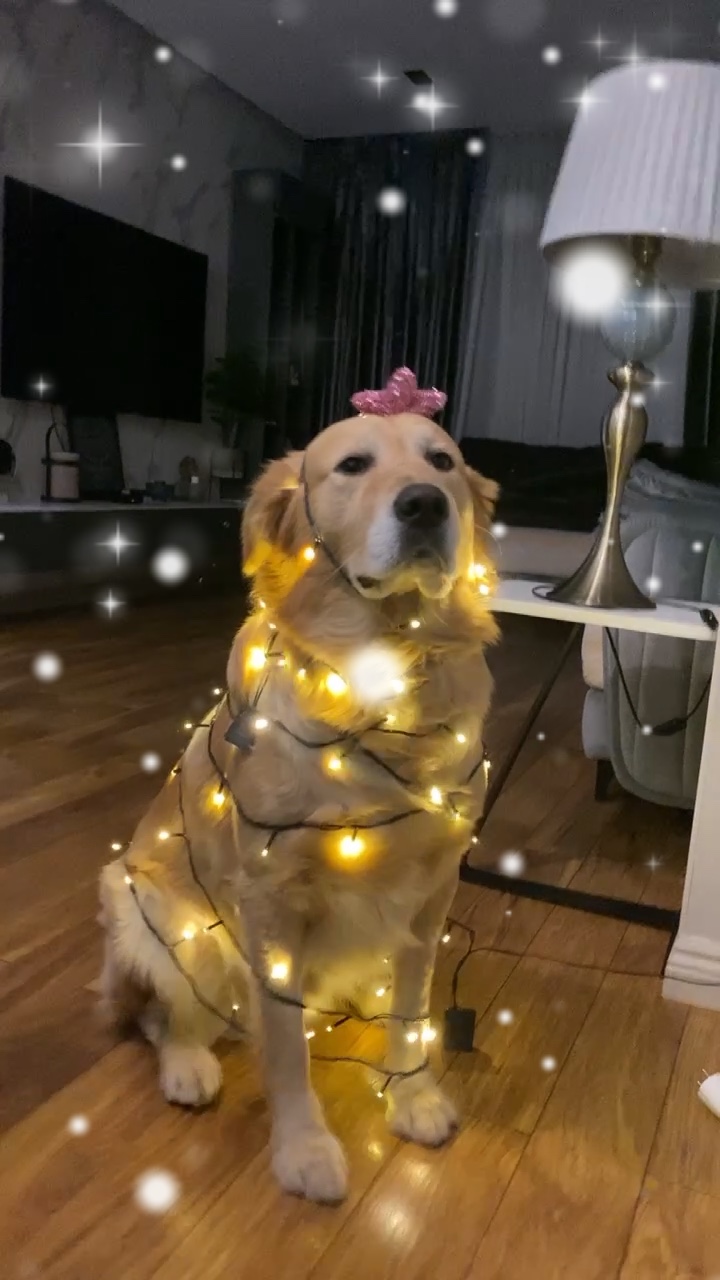 christmas vlog 