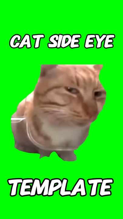 Meme de ojo lateral de gato