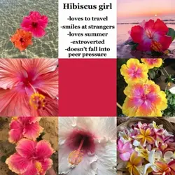 Hibiscus girl 🌺