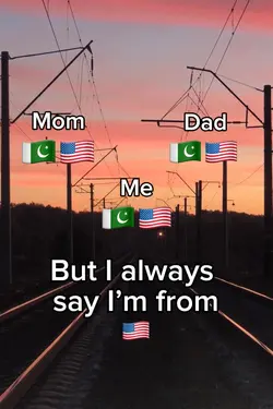 Pakistani American 🤪