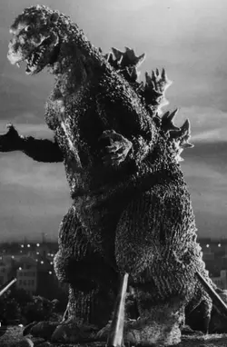 Evolution of Godzill