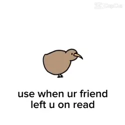 no reply kiwi