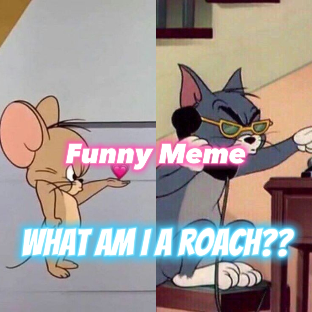 oh I have no friends