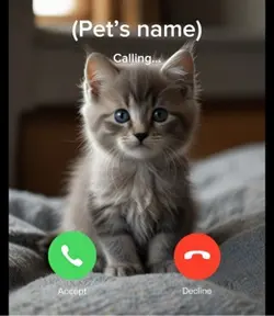 Your pet is calling 