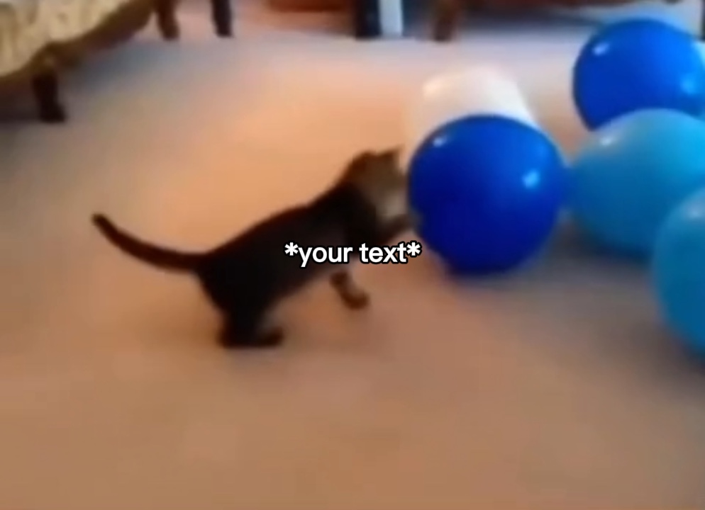 Pop cat meme