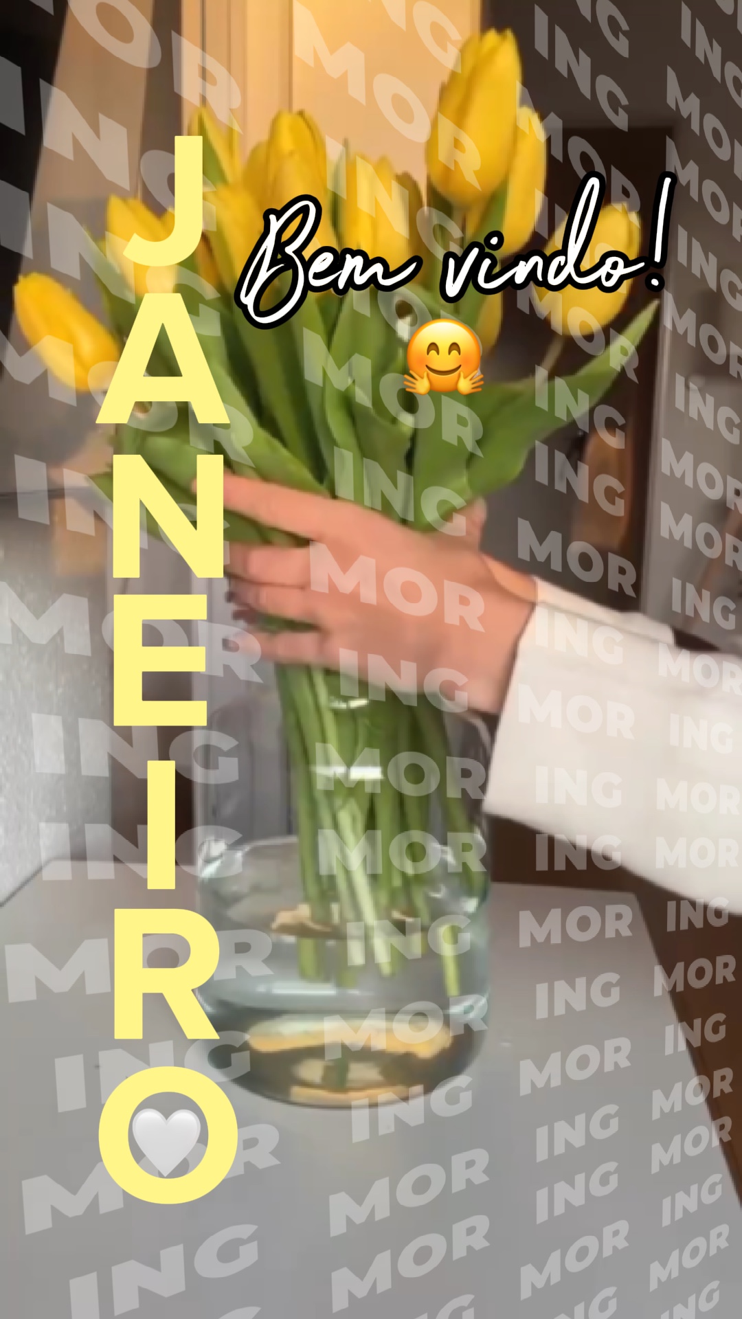 Bem vindo Janeiro!