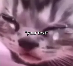 Crying cat
