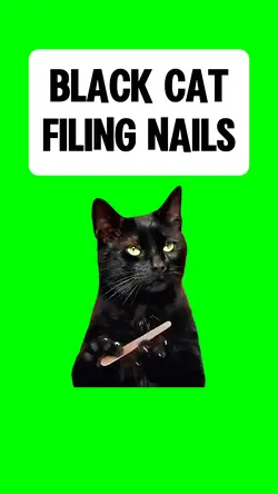 BLACK CAT FILING