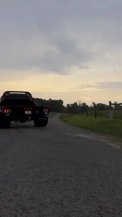 Lighting ⚡️⚡️