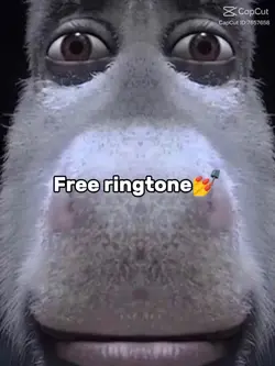 YO PHONE RINGING
