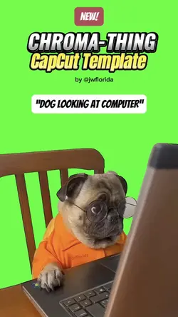 Dog Staring Computer