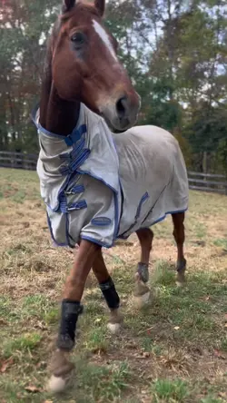 Flynny strutting 💅🏻🎀