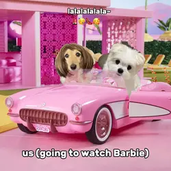 Barbie meme