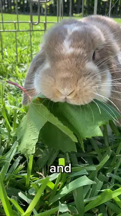 I am always hungry 🤤