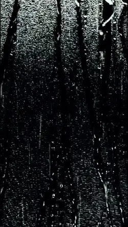 Rain - Chuva 