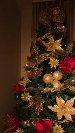 Natal