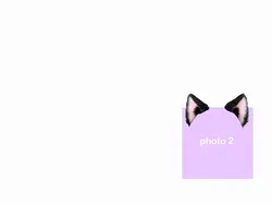 meow๐ฅ๐ฅ