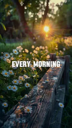 Every morning 